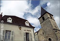 Vosne-Romanée, Burgundy.