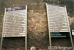 Chassagne-Montrachet, Burgundy.