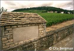 Clos-des-Lambrays, Morey-Saint-Denis.
