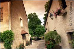 Gevrey-Chambertin, Burgundy.