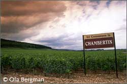 Chambertin, Gevrey-Chambertin.
