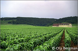 Château du Clos de Vougeot