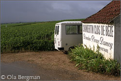 Chambertin Clos de Bèze.