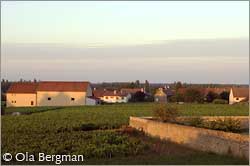 Chorey-lès-Beaune, Burgundy.