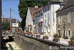 Pommard, Burgundy.