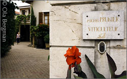 Domaine Michel Prunier & Fille in Auxey-Duresses, Burgundy.
