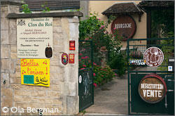 Clos du Roi in Coulanges-la-Vineuse, Burgundy.