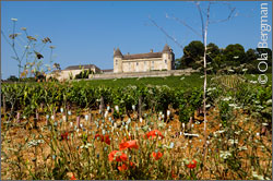 Château de Rully in Rully, Burgundy.