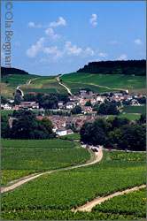 Mercurey