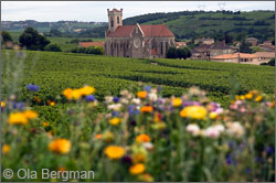 View over Fuissé in the Mâconnais, Burgundy.