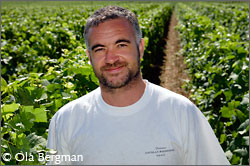 Nicolas Rossignol, Domaine Nicolas Rossignol, Volnay, Burgundy.