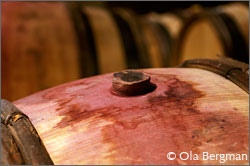 Domaine Philippe Germain, Nantoux, Burgundy.