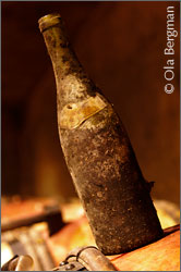 Domaine Philippe Germain, Nantoux, Burgundy.
