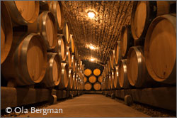 The cellars of Domaine Dujac in Burgundy.