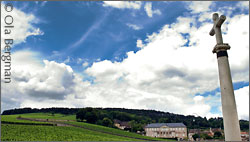 Volnay, Burgundy.