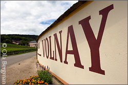Volnay, Burgundy.