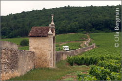 Gevrey-Chambertin.