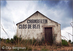 Clos de Bèze, Gevrey-Chambertin, Burgundy.