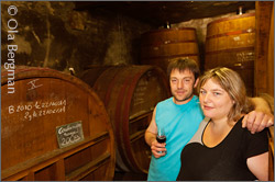 Domaine du Clos du Roi, Coulanges-la-Vineuse.