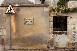 Domaine du Clos du Roi, Coulanges-la-Vineuse.