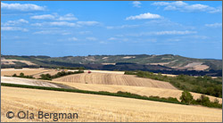 Coulanges-la-Vineuse, Irancy in the distance.