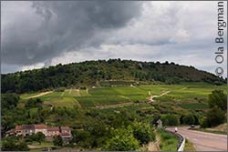 Saint-Aubin, Burgundy.