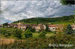Saint-Aubin, Burgundy.