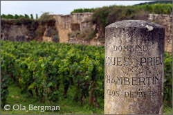 Clos de Bèze, Gevrey-Chambertin.