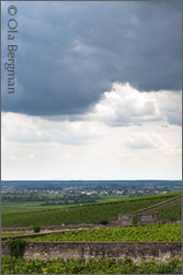 Volnay, Burgundy.