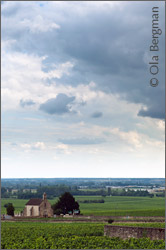 Volnay, Burgundy.