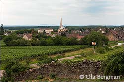 Givry, Burgundy.