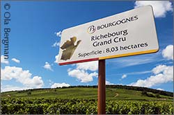 Richebourg, Vosne-Romanée.