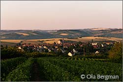 Coulanges-la-Vineuse in Burgundy.