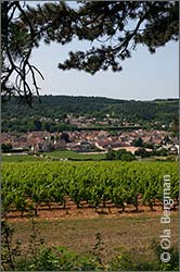 Savigny-lès-Beaune.