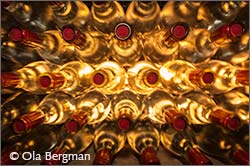 Domaine Arnoux-Lachaux in Vosne-Romanée.