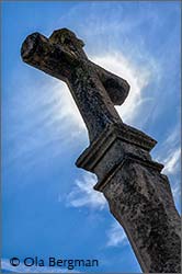 Romanée-Saint-Vivant, Vosne-Romanée.