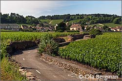 Volnay.