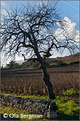 Saint-Martin-sous-Montaigu.