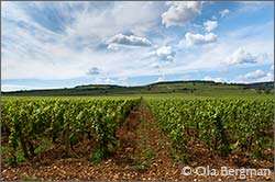 Beaune, Burgundy.