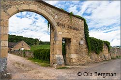 Clos Salomon, Givry.