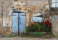 Clos Salomon, Givry.