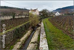Clos du Colombier, Pommard.