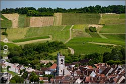 Irancy, Burgundy.