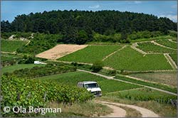 Irancy, Burgundy.