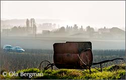 Domaine Odoul-Coquard in Morey-Saint-Denis, Burgundy.