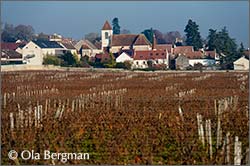 Morey-Saint-Denis, Burgundy.