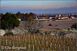 Gevrey-Chambertin, Burgundy.