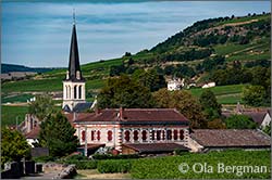 Santenay, Les Hâtes, Burgundy.