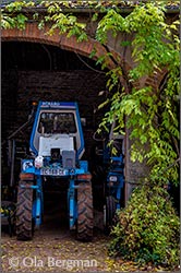 Domaine Philippe & Arnaud Dubreuil in Savigny-lès-Beaune, Burgundy.