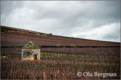 The cabotte in Les Lavières, Savigny-lès-Beaune.